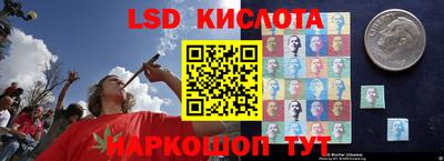 a pvp Лесосибирск