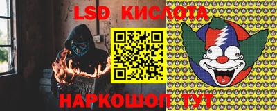 гашик Ливны