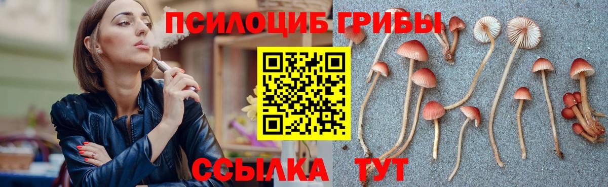 Галлюциногенные грибы прущие грибы  Галлюциногенные грибы Magic Shrooms  Новосибирск  цена наркотик  Вход с VPN 