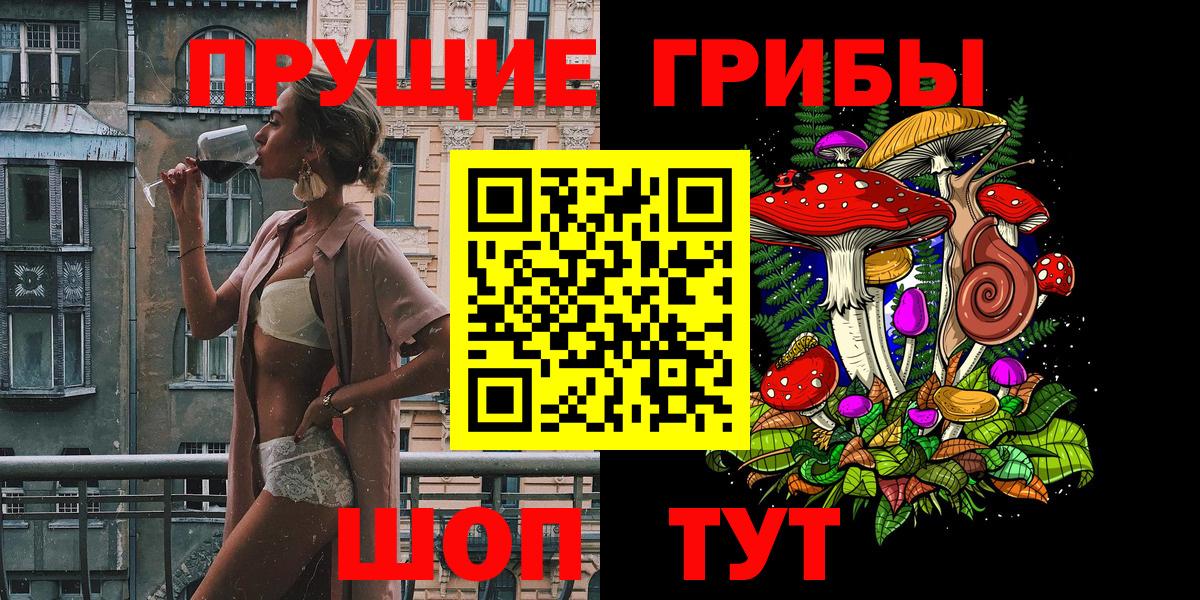 Галлюциногенные грибы Psilocybine cubensis Новосибирск